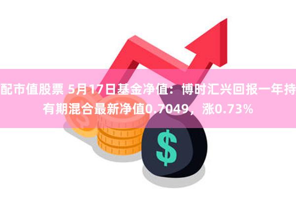 配市值股票 5月17日基金净值：博时汇兴回报一年持有期混合最新净值0.7049，涨0.73%