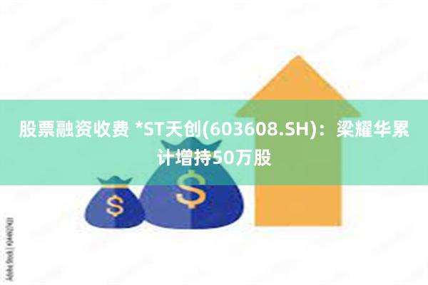 股票融资收费 *ST天创(603608.SH)：梁耀华累计增持50万股