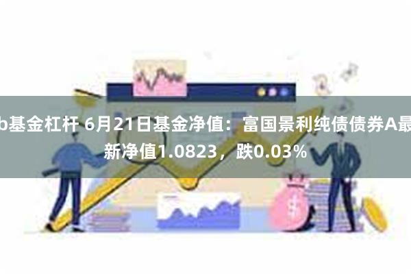 b基金杠杆 6月21日基金净值：富国景利纯债债券A最新净值1.0823，跌0.03%