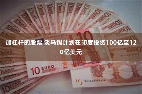 加杠杆的股票 淡马锡计划在印度投资100亿至120亿美元