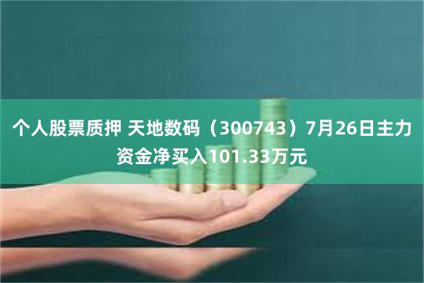 个人股票质押 天地数码（300743）7月26日主力资金净买入101.33万元