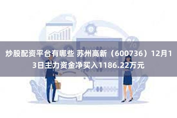 炒股配资平台有哪些 苏州高新（600736）12月13日主力资金净买入1186.22万元