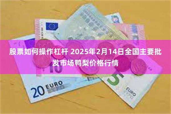 股票如何操作杠杆 2025年2月14日全国主要批发市场鸭梨价格行情