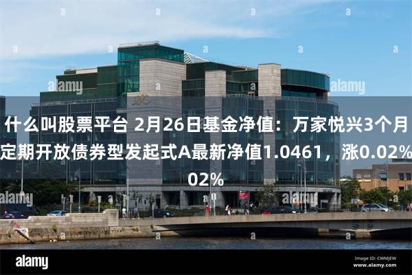 什么叫股票平台 2月26日基金净值：万家悦兴3个月定期开放债券型发起式A最新净值1.0461，涨0.02%